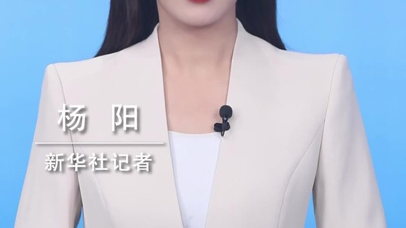 数据中台：企业数字化转型的核心枢纽